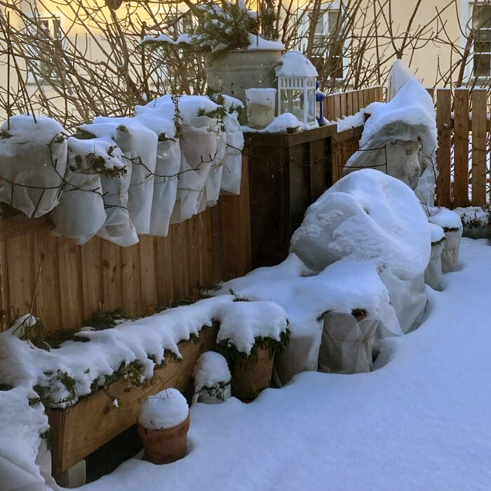 Winter am Balkon