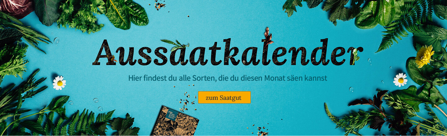 Zum monatlichen Aussaatkalender