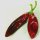 Chili Guajillo (Capsicum annuum) Samen