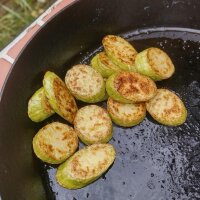 Zucchini Tromboncino dAlbenga (Cucurbita moschata) Samen