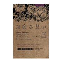 Cardy / Spanische Artischocke (Cynara cardunculus) Samen