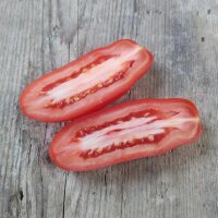 Tomate San Marzano (Solanum lycopersicum) Samen