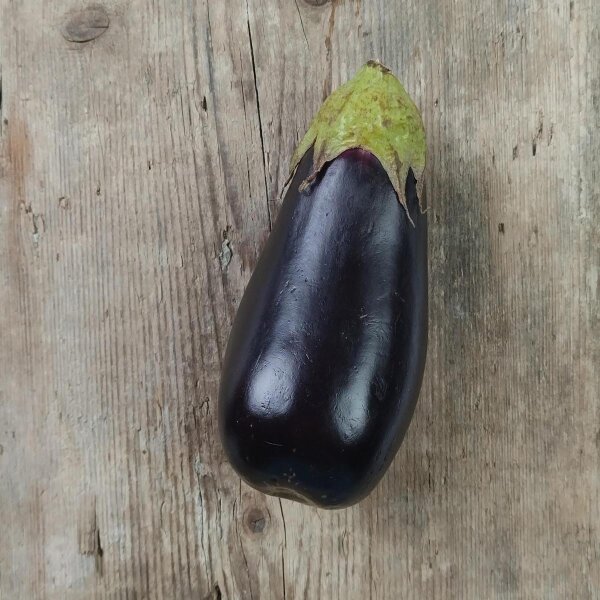 Auberginen Lange Violette (Solanum melongena) Samen