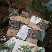 Ella Harrison Samenset - The Folklore Seed Collection