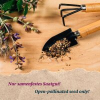 Mittelzehrer-Gemüse für das Hochbeet (Bio) - Samen-Geschenkset