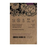 Zwiebel Stuttgarter Riesen (Allium cepa) Bio Saatgut